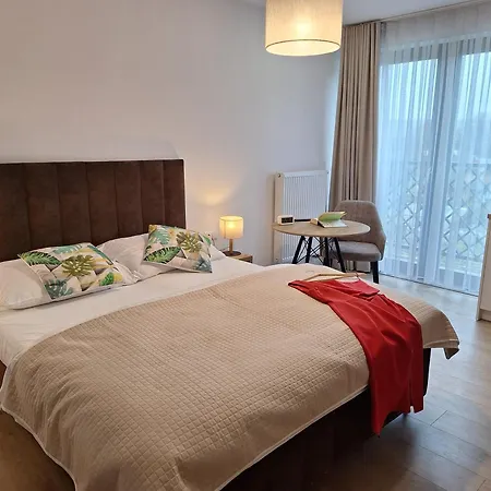 Apartment App Bialy Dunajec