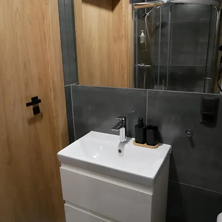 Apartment App Bialy Dunajec